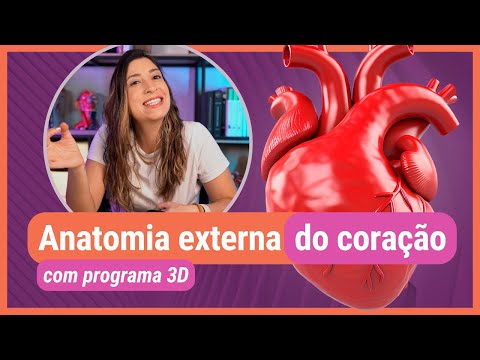 ANATOMIA EXTERNA DO CORAÇÃO! Com programa 3D