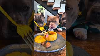 Almôndegas de Carne com Molho de Tomate na Moranga Baby 🐾🤩