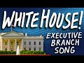 Exploring the Executive Branch and Its Functions