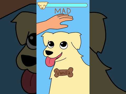 How Many Taps Until Your Pet Gets Mad?