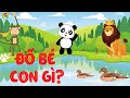 Đoán Động Vật Qua Đặc Điểm