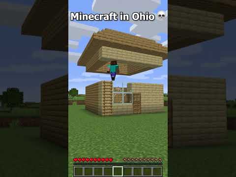 Can't even play Minecraft in Ohio ๐(part 8) #shorts #minecraft #ohio