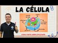 Cuestionario sobre la Célula