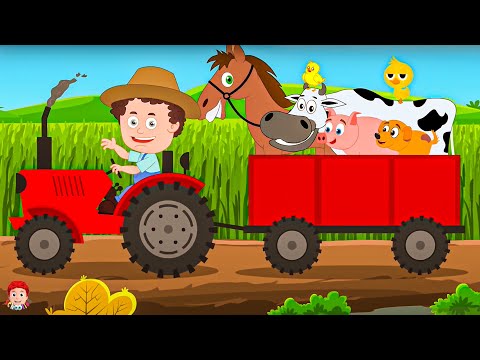 Schoolies Old MacDonald Had A Farm + More Videos For Kids