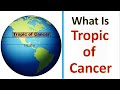 Tropic of Cancer Concepts
