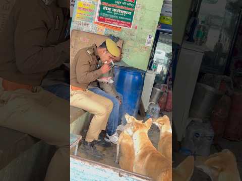 ये बोले तो नहीं सकते लेकिन इनके पास भी पेट#animalslover #humanity #kindness #doglover #viralvideo