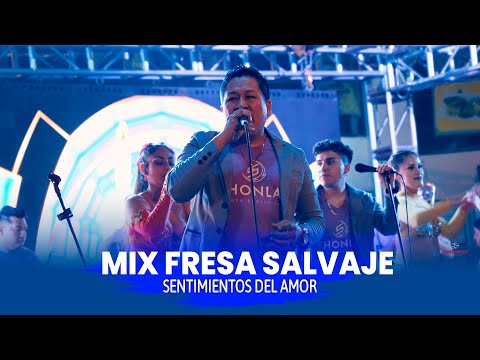 Sentimientos del Amor -   MIX FRESA SALVAJE - Conciertos 2025