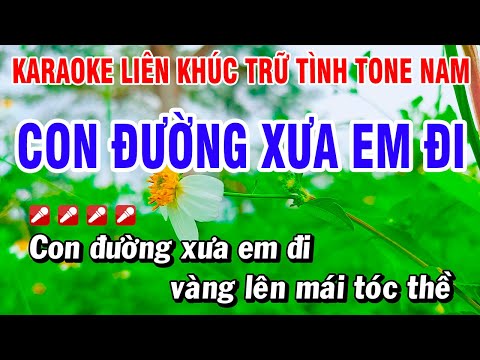 Karaoke Liên Khúc Trữ Tình Tone Nam Nhạc Sống Dễ Hát – Con Đường Xưa Em Đi | Hoài Phong Organ