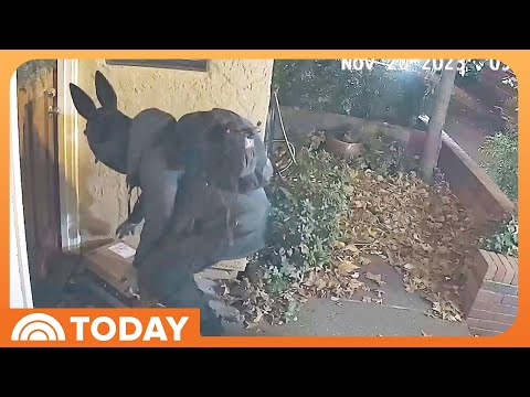 YouTube video thumbnail: Porch Pirate Ring Targeted Fedex Packages With Insider Info: DA