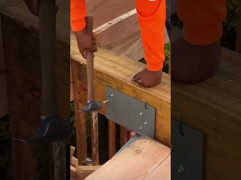 Dice que chalán que tiene 10 años de experiencia