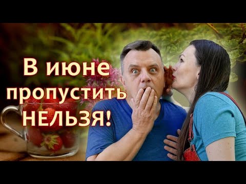 Урожай без химии: УЖЕ ЭТИМ ЛЕТОМ!