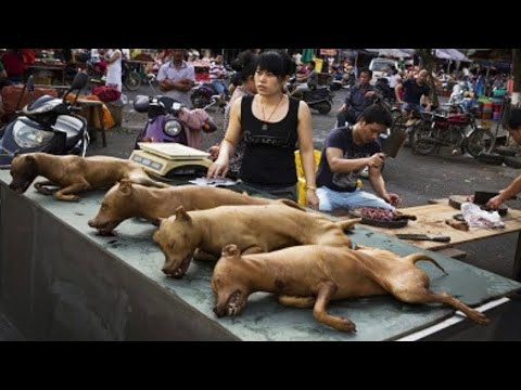 Nagwala ang Mundo sa Nakita nilang Kinakain ng mga Tao sa China!