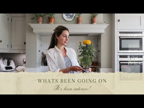 WHAT'S BEEN GOING ON, MY OWN TATTLE COURT CASE & A ZARA HOME HAUL | Lydia Elise Millen