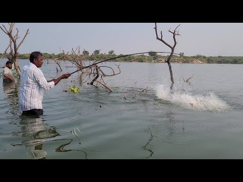 Fish HUNTING 🎣 by SINGLE HOOK FLOAT FISHING 3 Day's Rohu and black Rohu Fishes