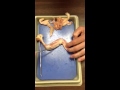 Understanding Muscles, Tendons, and Bones