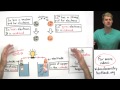 Electrochemistry Concepts and Applications