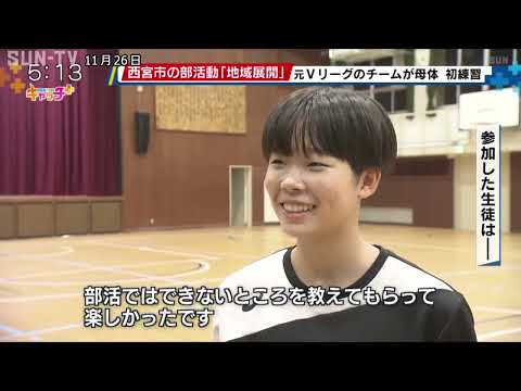 バレーボールクラブ「西宮デルフィーノプレミア」の体験練習