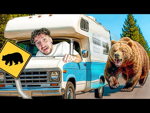 VÝLET S KARAVANEM POKRAČUJE... bacha, Medvěd!!!