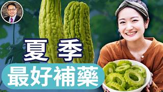夏吃苦火氣爆、便祕、睡不著？苦味食物的健康奇蹟｜四維健康