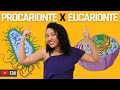 Prokaryotic and Eukaryotic Cells