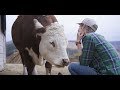 Sweet Farm's Mission and Impact
