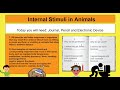 Discussion Questions on Homeostasis and Internal Stimuli