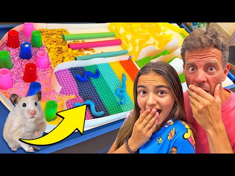 CREAMOS UN CIRCUITO PARA NUESTROS HAMSTERS Itarte Vlogs