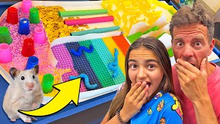 CREAMOS UN CIRCUITO PARA NUESTROS HAMSTERS Itarte Vlogs