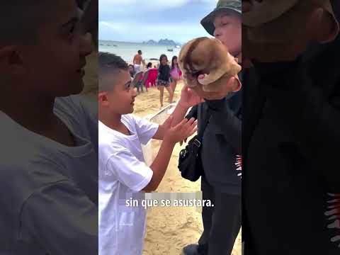 ✅Este chico Nunca Ovidara sus Vacaciones #historias #shorts