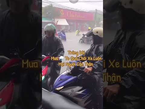Biên hòa Đồng nai thất thủ #shortvideo #tintuc #bao