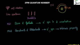 Spin Quantum Numbers (s)