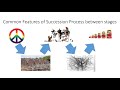 Ecosystem Succession and Biodiversity