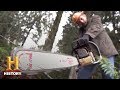 Logging Techniques and Safety