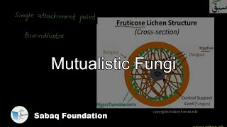 Mutualism, lichen