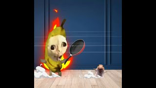 Banana Cat vs Hamster – Funniest Cartoon Battles! (Compilation #1)