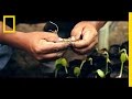 Sostenibilidad y Agroforestería
