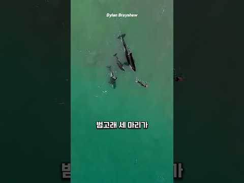 심장 멈출 것 같은 순간