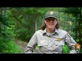 Moose and Wolf Population Dynamics