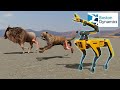 Spot Robot Design and Mechanics