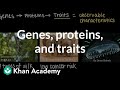 Understanding Gene Expression and Traits
