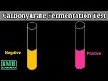 Carbohydrate Fermentation Test Concepts