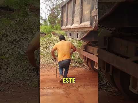 camionero sin limitaciones para el trabajo #Trucks #Camion#Trailer #Camiones #Trailero