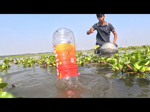 Trap Fishing|Traditional Bottle Trap Fishing Video|
