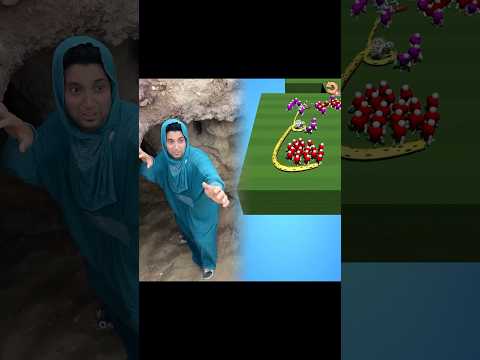 ‏ام كشري المقابر ⬆️⬆️