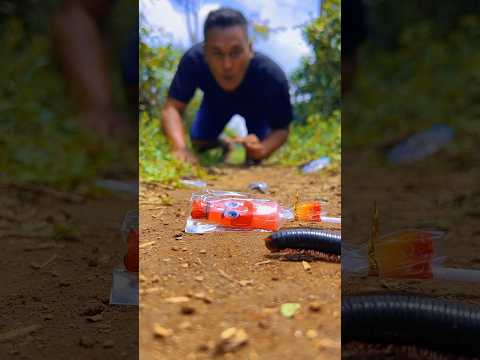 Real Talent or Just Tricks? You Be the Judge! #shortsvideo #millipede