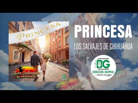 Princesa - Los Salvajes de Chihuahua [Audio Oficial]