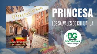 Princesa - Los Salvajes de Chihuahua [Audio Oficial]