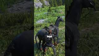 3 Interesting Facts You Probably Don't Know about RDR2  #rdr2 #reddeadredemption2