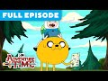 Finn's Adventure and Problem Solving