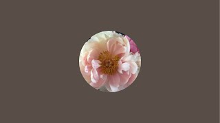 The Flower Podcast is live!
